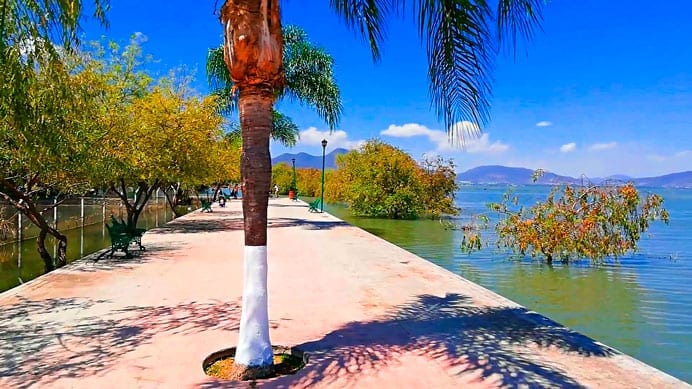 San Cristobal Zapotitlan 2