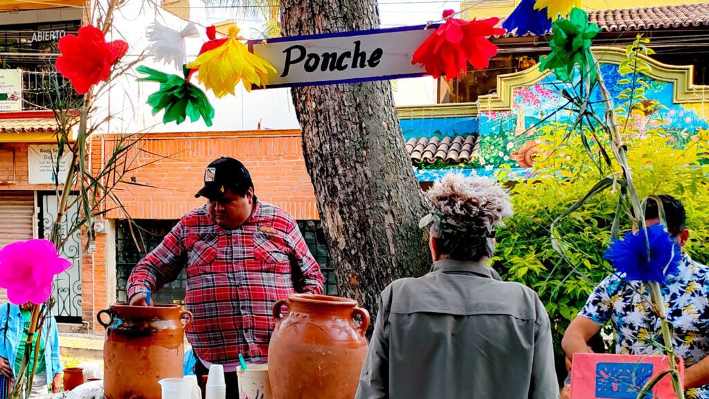 Verbena Jamaica del Pasado in Ajijic